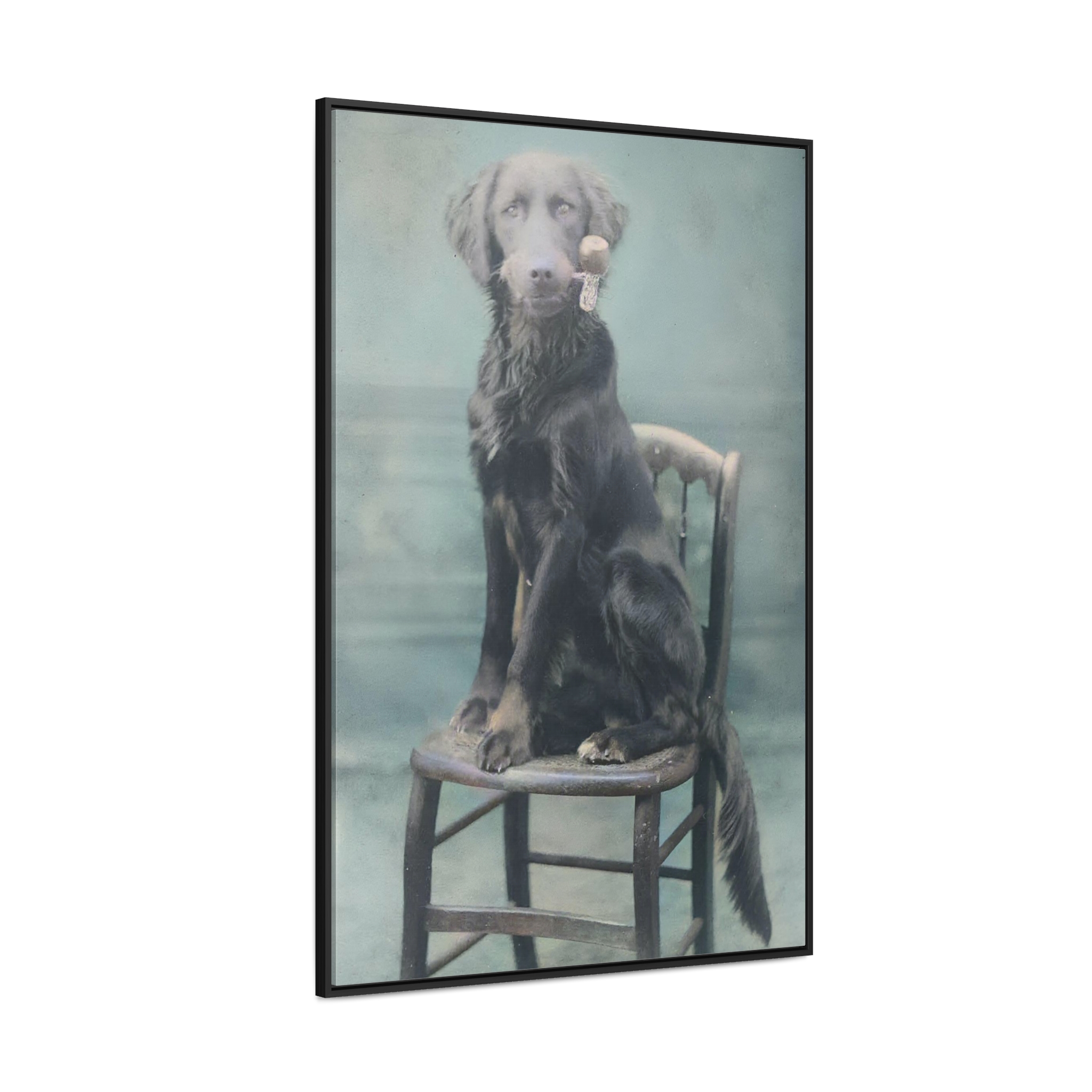 1870's Smoking Pipe Dog - Image 2
